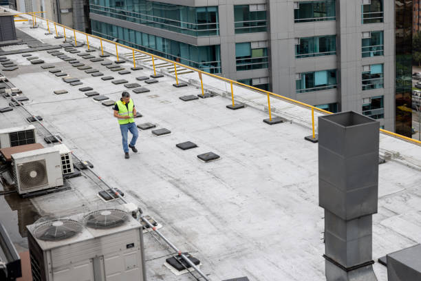 Best Roof Maintenance and Cleaning  in Haiku Pauwela, HI